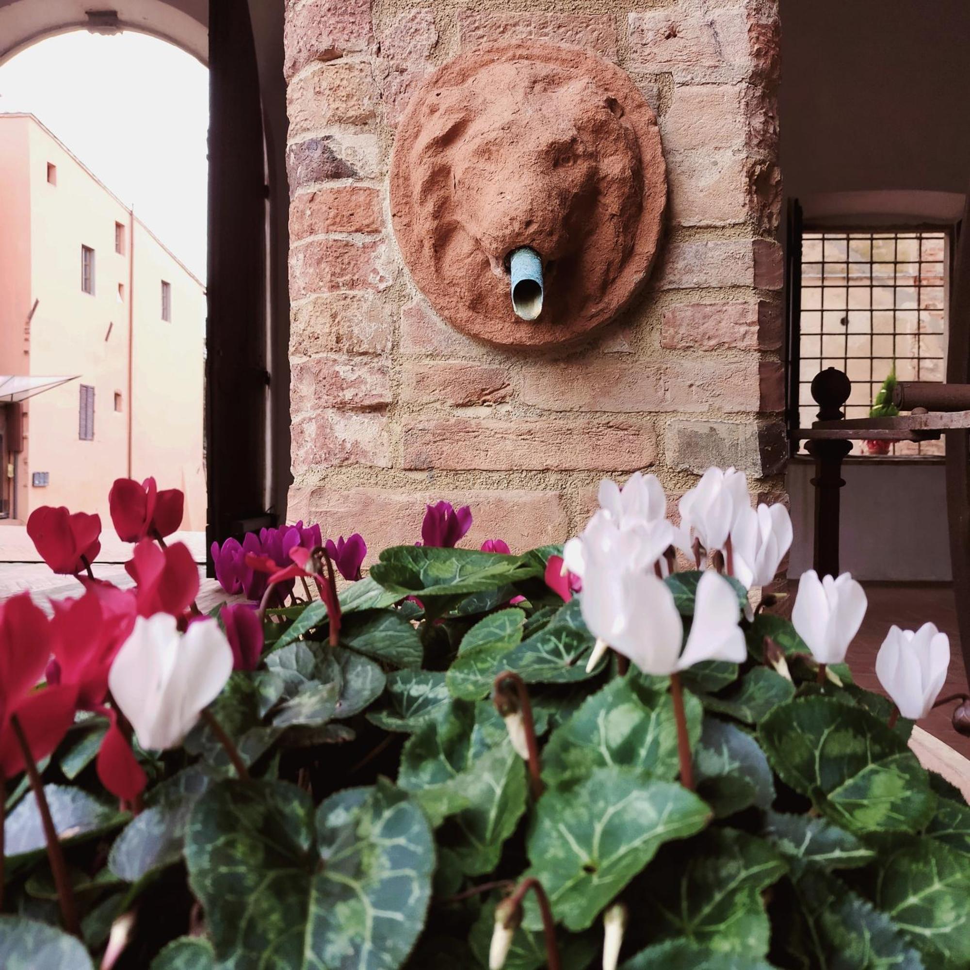 דירות צ'רטאלדו Palazzo Stiozzi Ridolfi מראה חיצוני תמונה