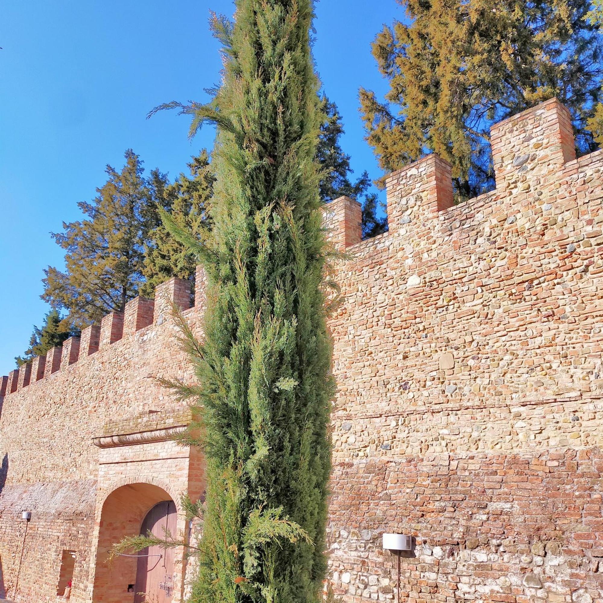 דירות צ'רטאלדו Palazzo Stiozzi Ridolfi מראה חיצוני תמונה